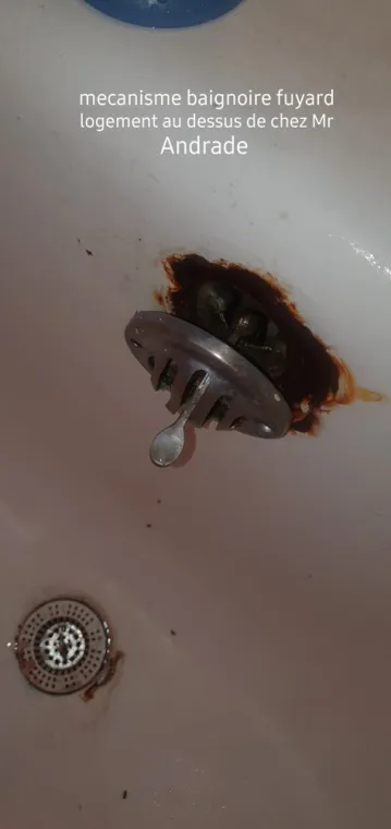 Votre artisan MACCOTTA Plomberie réalise une recherche de fuite à Marseille 2ème arrondissement, Marseille, MACCOTTA Plomberie