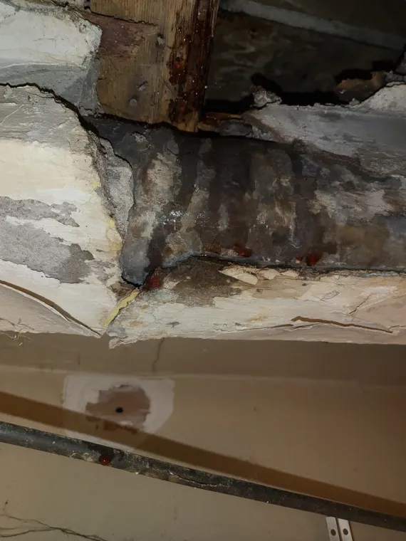 RECHERCHE DE FUITE A MARSEILLE 13007, Marseille, MACCOTTA Plomberie