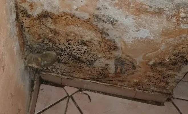 Votre artisan MACCOTTA Plomberie réalise une recherche de fuite à Marseille 16ème arrondissement, Marseille, MACCOTTA Plomberie